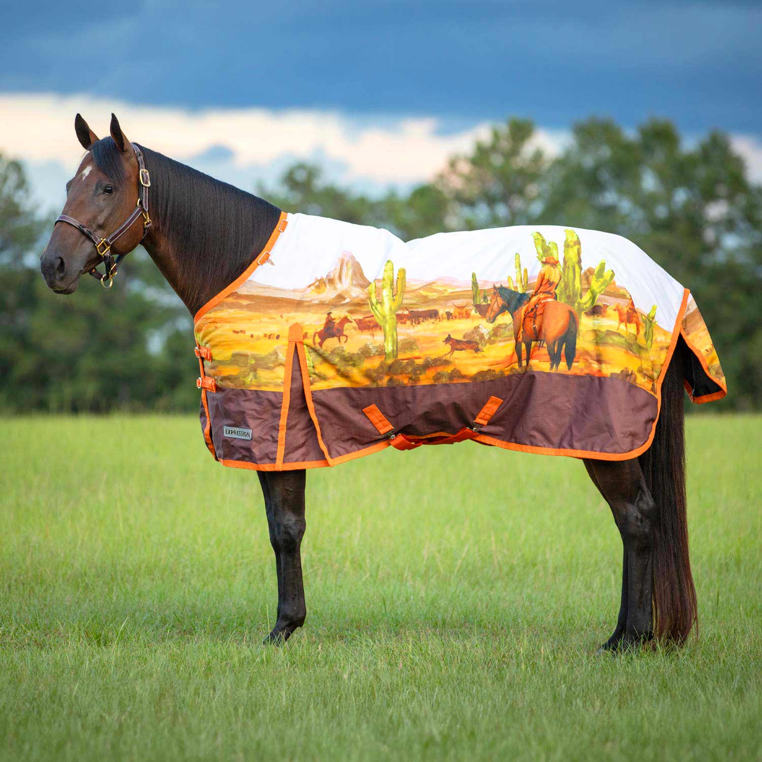 Expression 1200 Denier Standard Neck Turnout Sheet, 0 Gram, Cattle Drive - Healthber