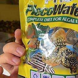 Tetra Pro PlecoWafers - Healthber