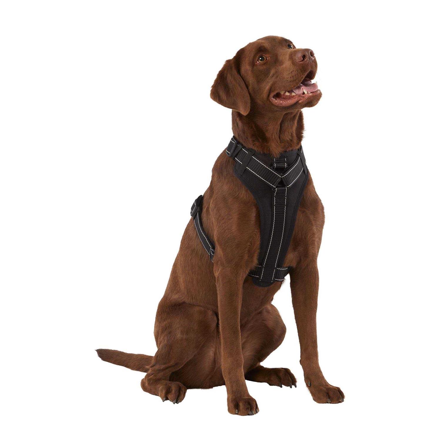 KONG MAX Neoprene Padded Dog Harness - Healthber