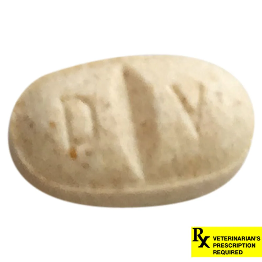 Rx Clomicalm (Clomipramine HCl) Tablets for Dogs - Healthber