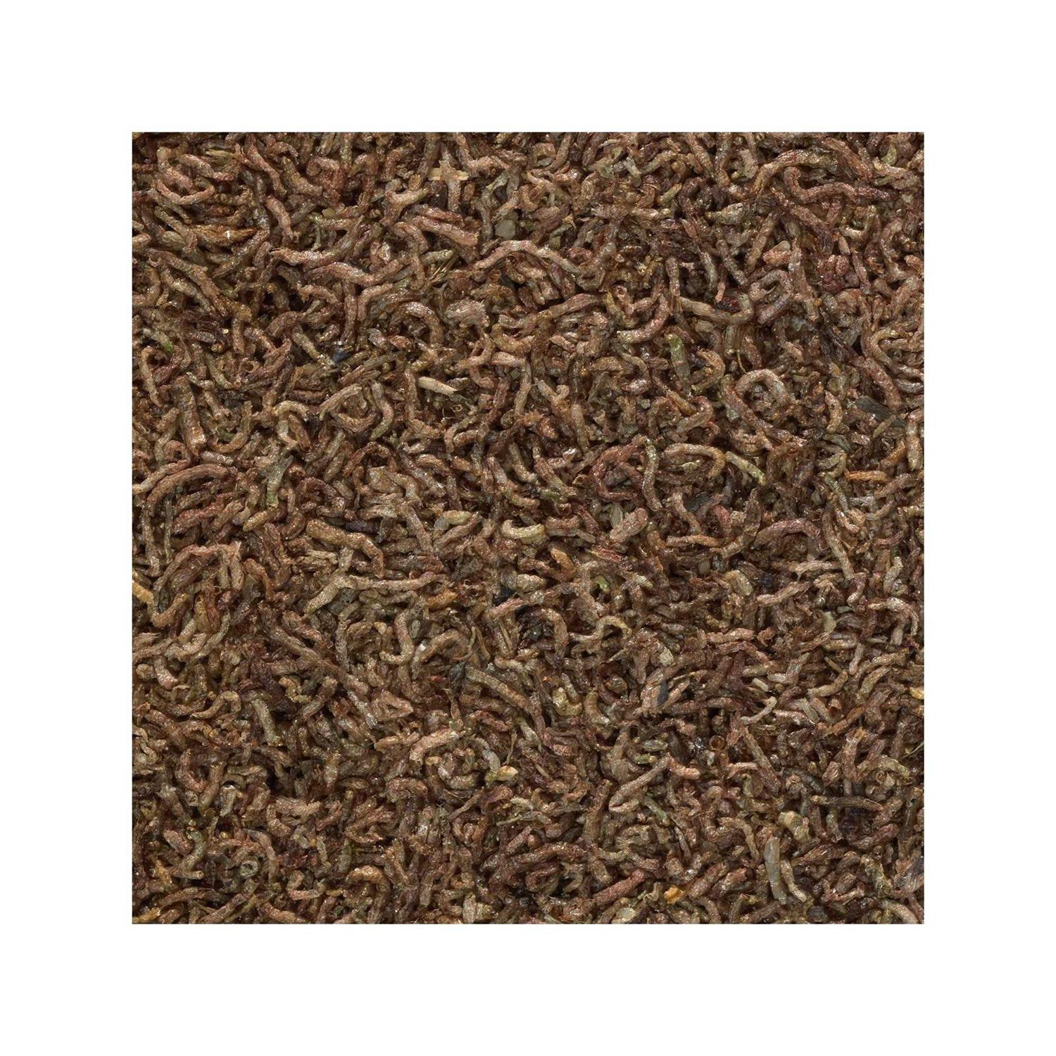 Tetra Bloodworms Freeze Dried Fish Food - Healthber