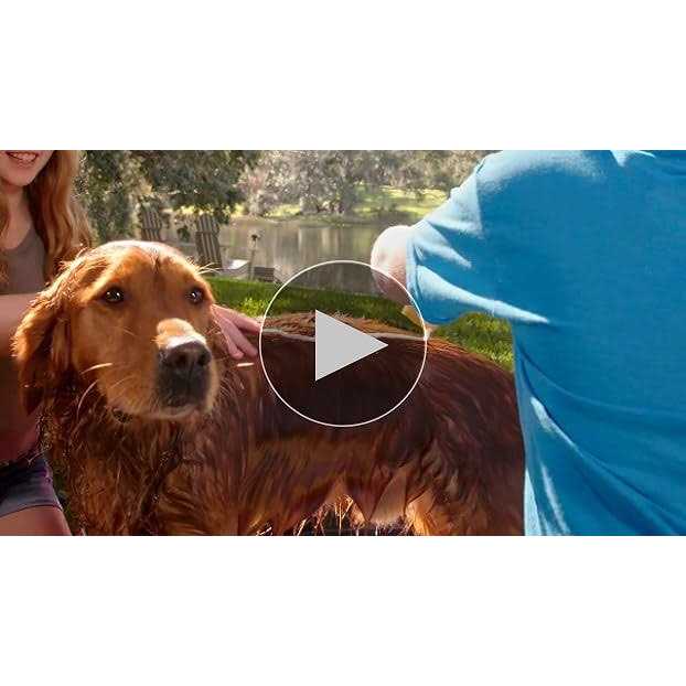 Burt’s Bees Oatmeal Conditioner for Dogs with Colloidal Oat Flour & Honey - Healthber