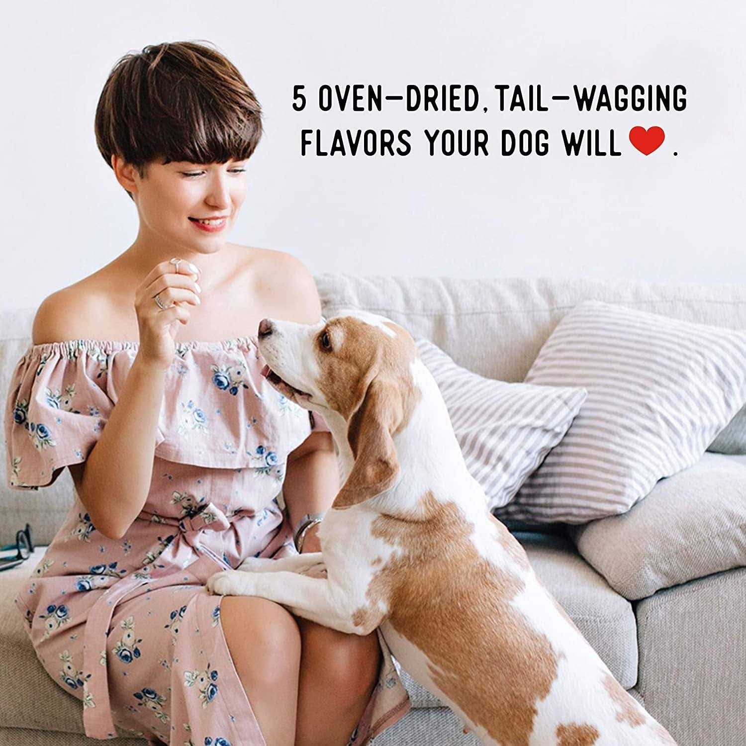 Farmland Traditions No Antibiotics Ever Chicken Jerky Dog Treats - Healthber