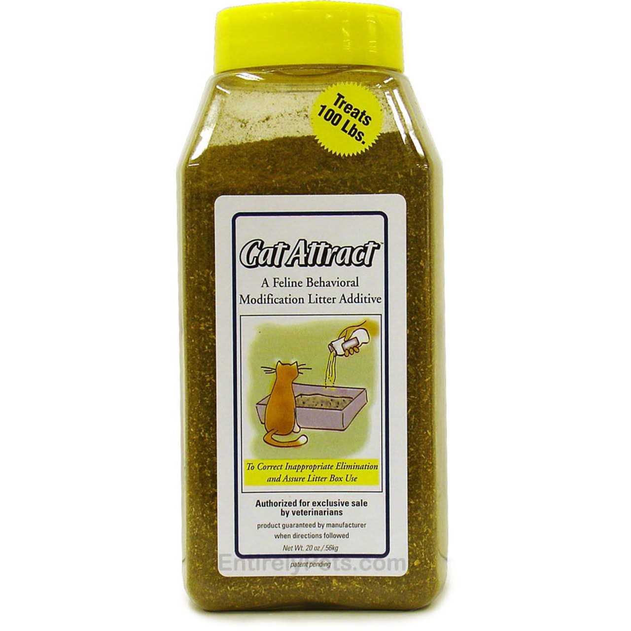 Cat Attract (20 oz) - Healthber