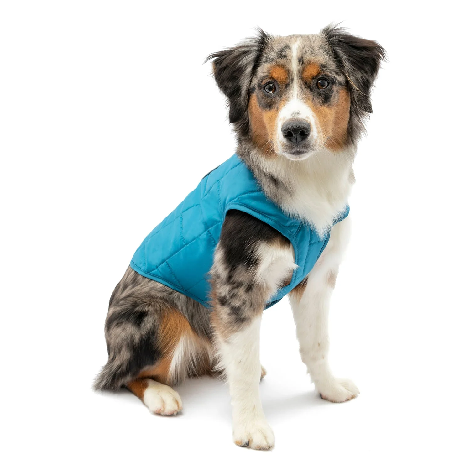 Kurgo Reversible Loft Jacket - Healthber