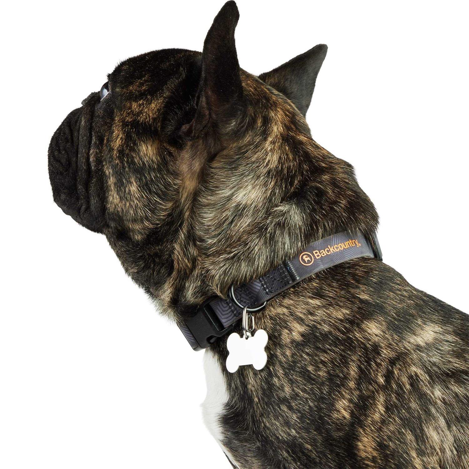 Backcountry x Petco The Dog Collar - Healthber