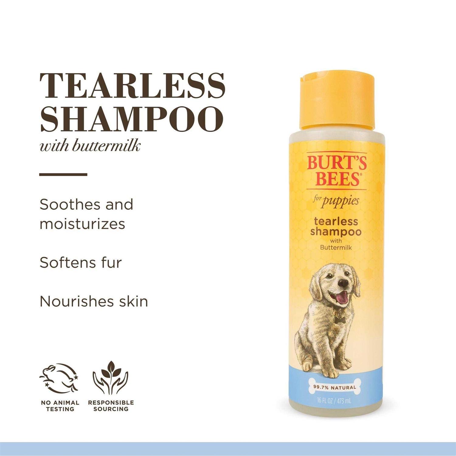 Burt’s Bees Tearless Shampoo with Buttermilk - Healthber