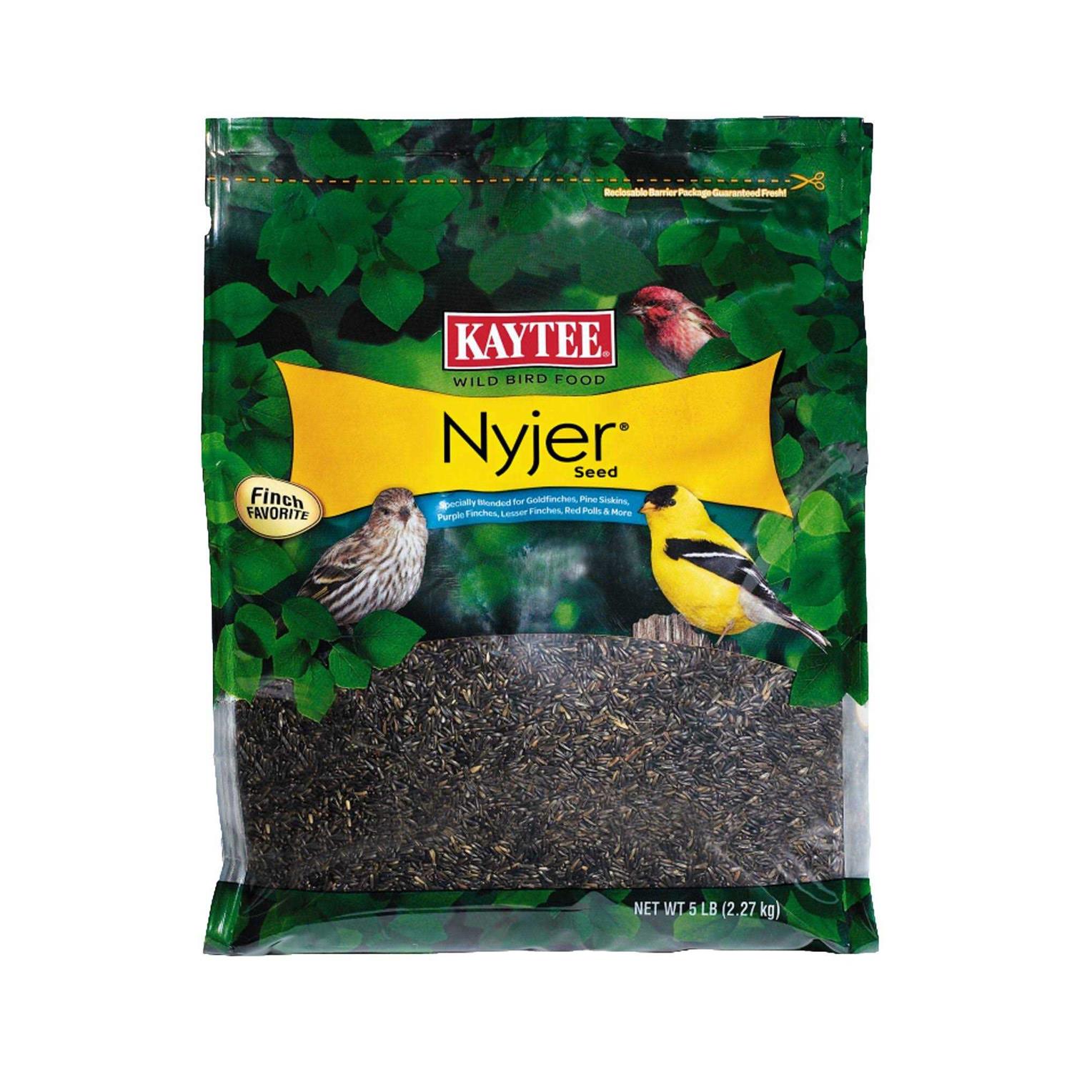 Kaytee Nyjer Seed Wild Bird Food - Healthber