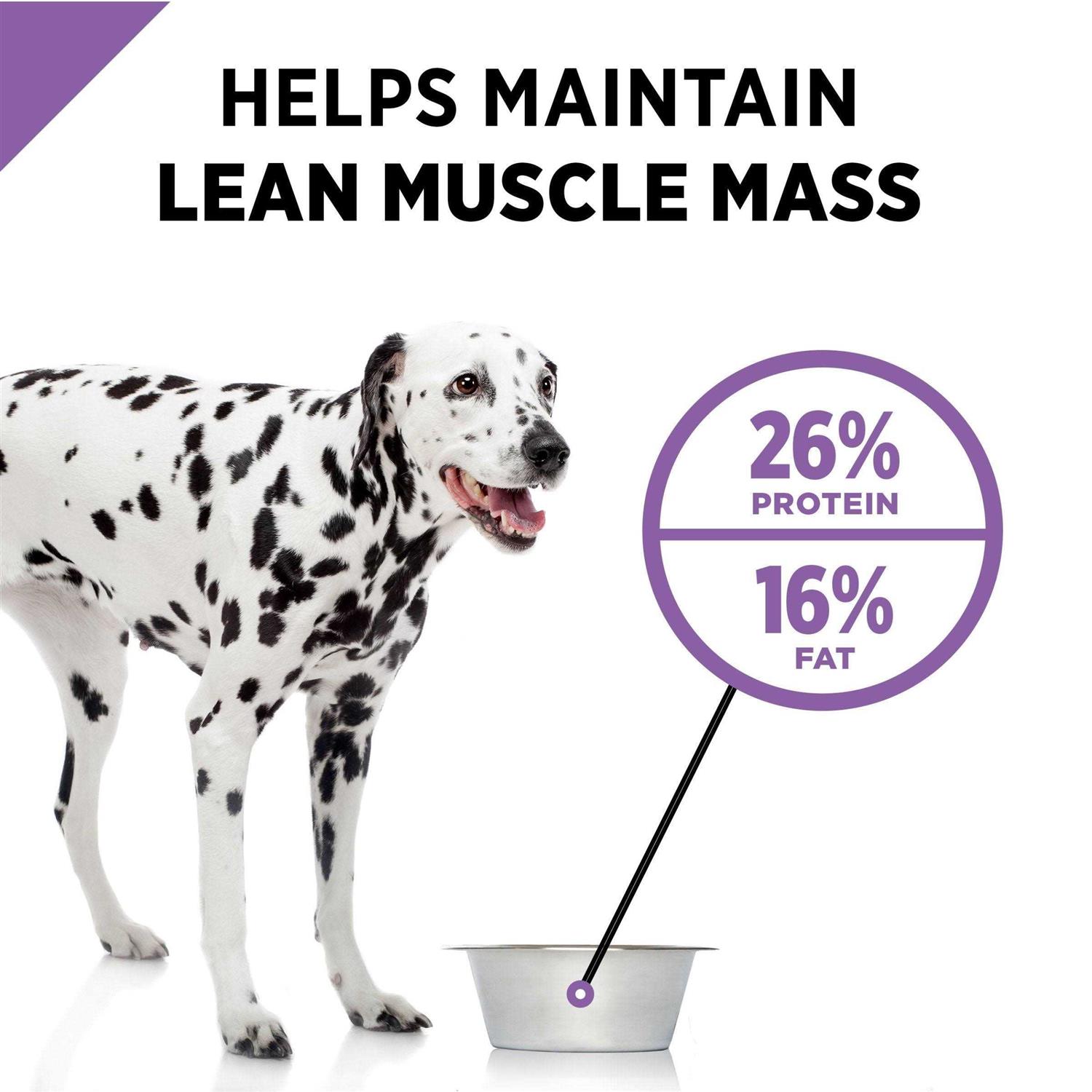 Purina Pro Plan Dry Dog Food Sport Active 26/16 Formula - Healthber