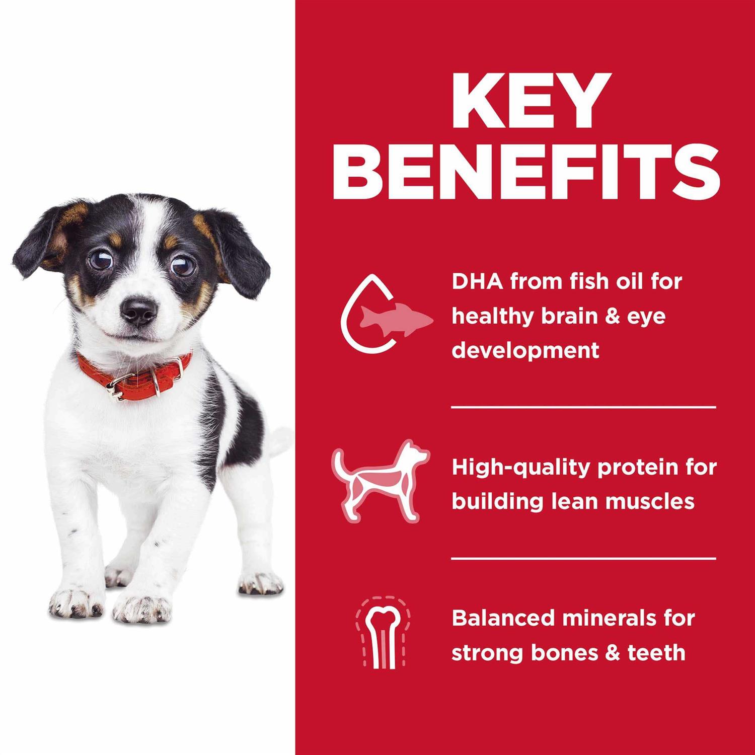 Hill’s Science Diet Puppy No Corn, Wheat or Soy Dry Dog Food - Healthber