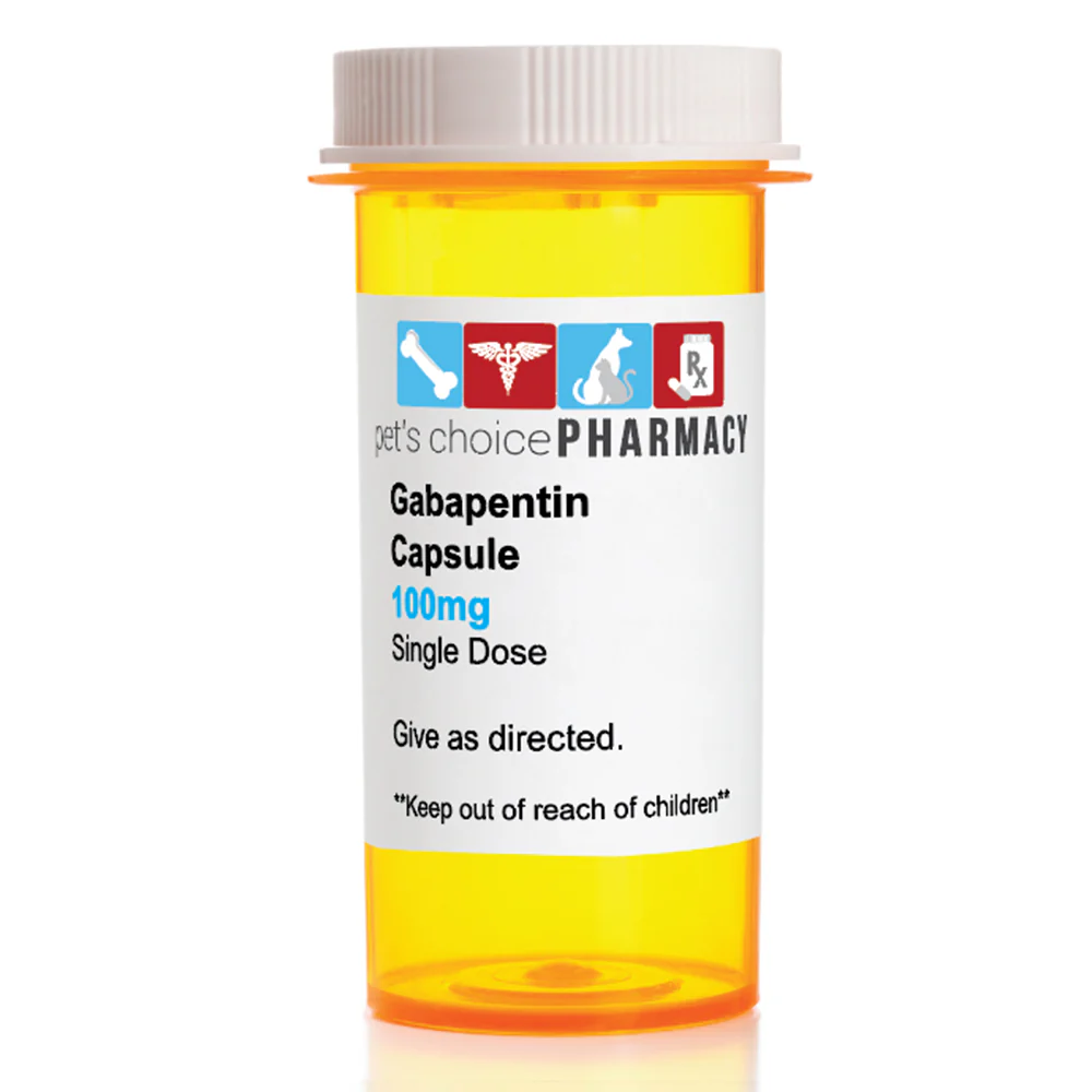 Rx Gabapentin (Generic) Capsules for Dogs & Cats - Healthber