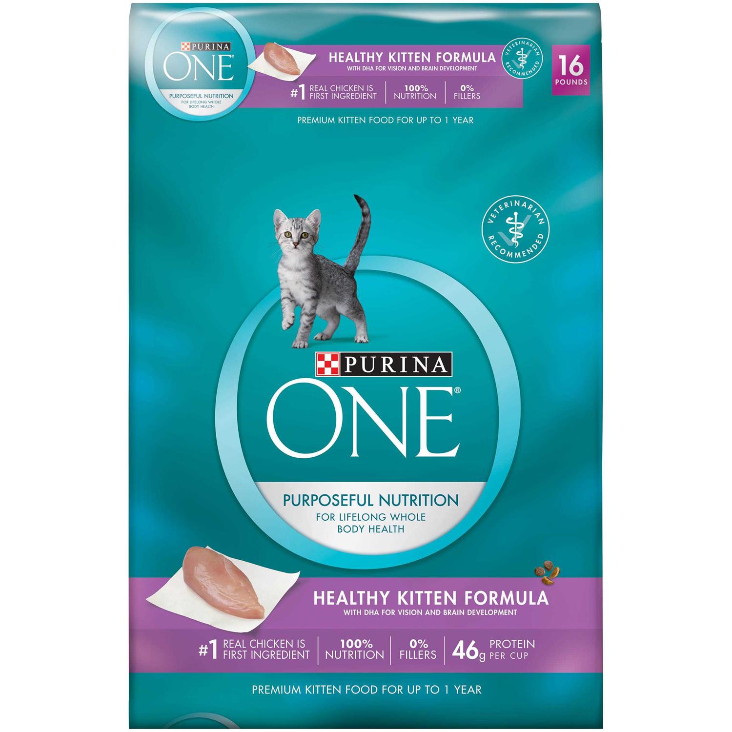 Purina ONE Kitten Dry Food - Healthber
