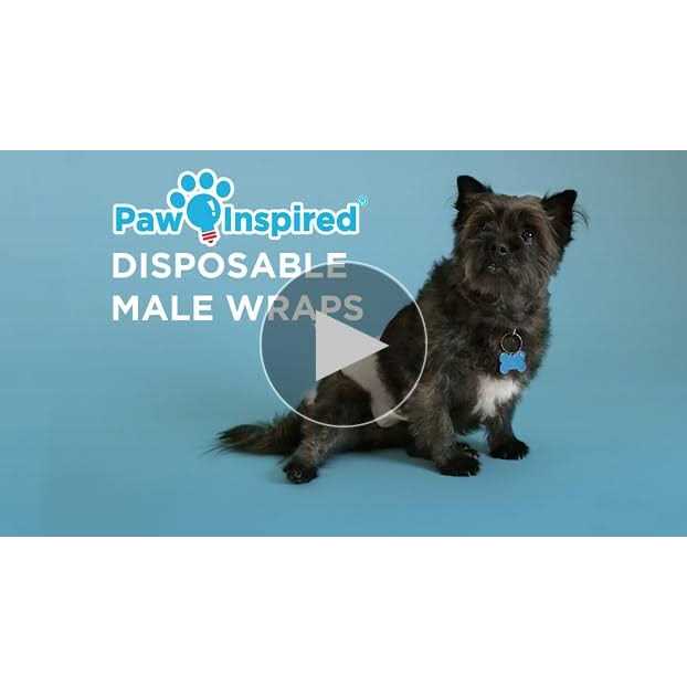 Paw Inspired Ultra Protection Disposable Belly Band Male Dog Wraps - Healthber