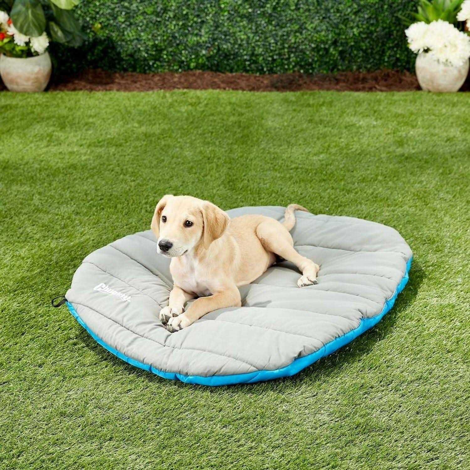 Chuckit Travel Bed - Healthber