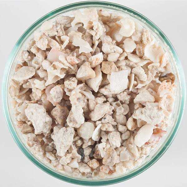 CaribSea Florida Crushed Coral - Healthber