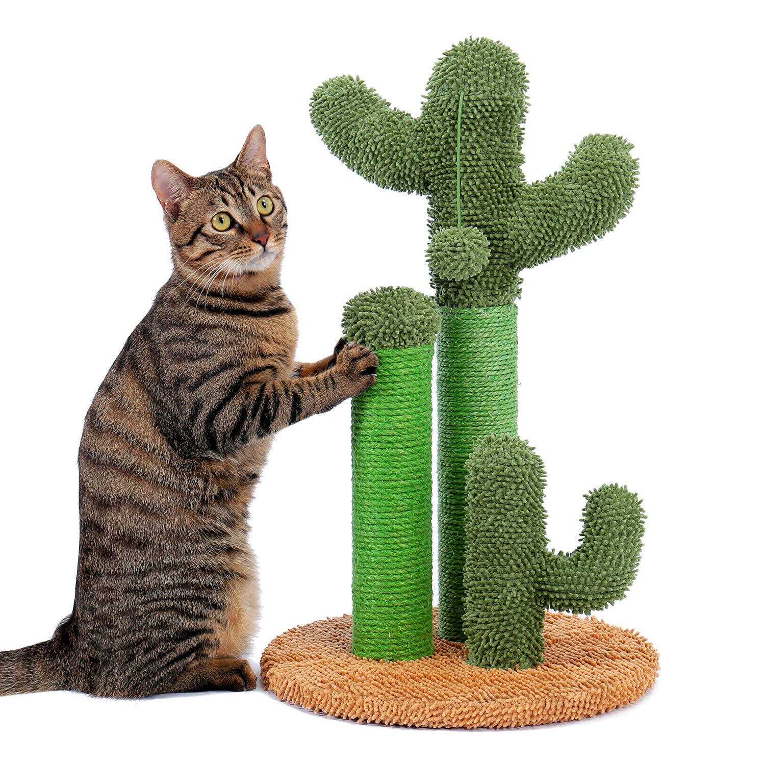 Pawz Road Cactus Cat Scratching Posts Sisal Cat Scratcher - Healthber