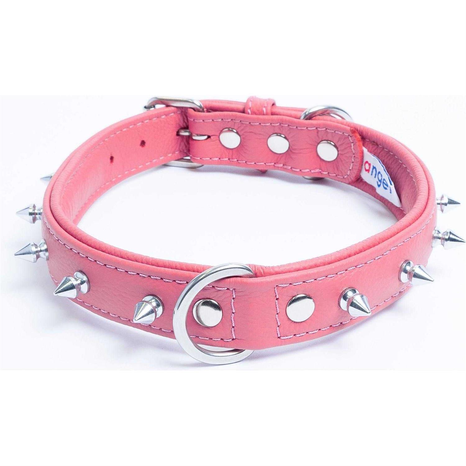 Rotterdam Dog Collar Spiked - Healthber