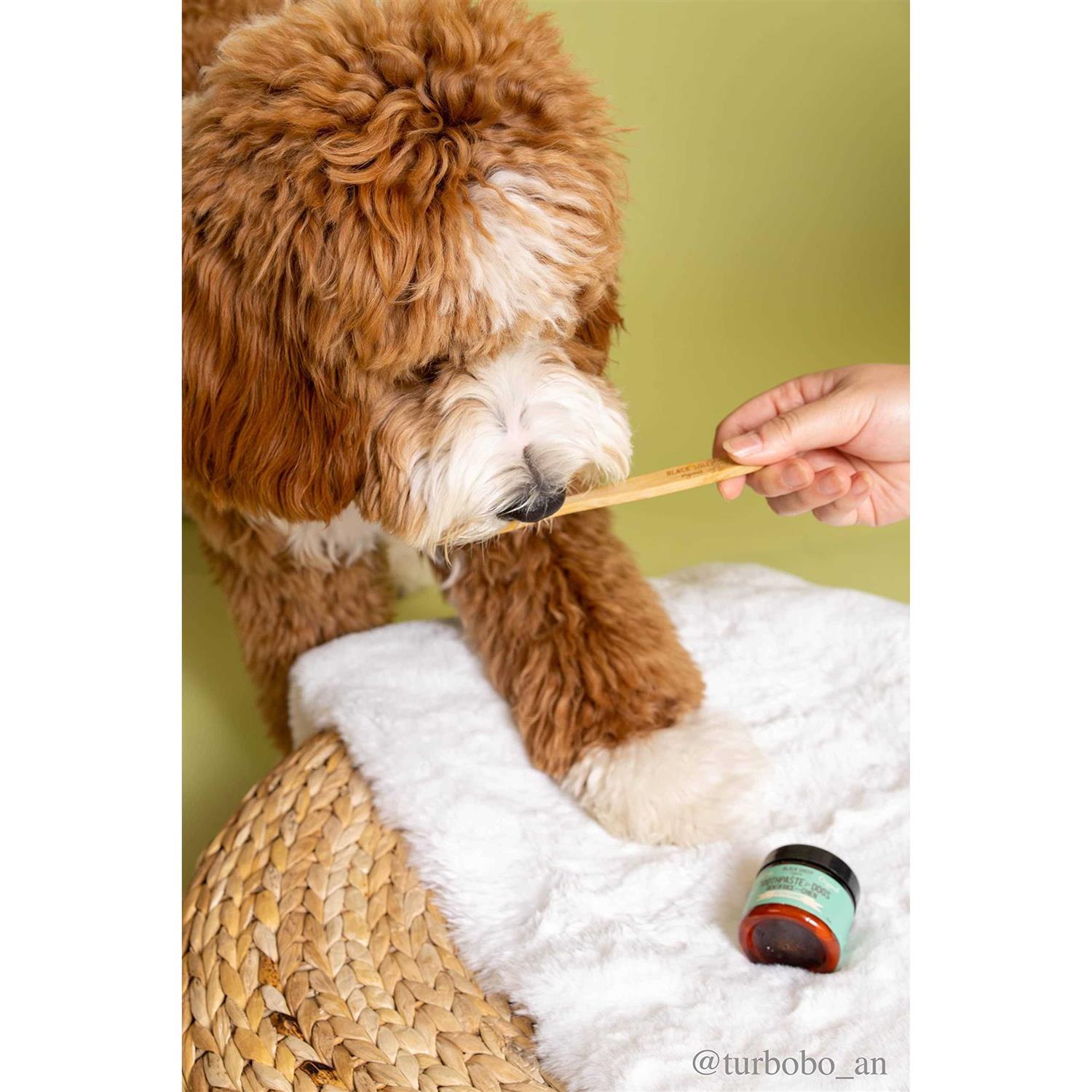 Black Sheep Organics Dog Peppermint Toothpaste - Healthber