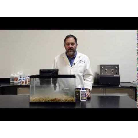 Dr Tim’s Aquatics Ammonium Chloride for Fishless Cycling - Healthber