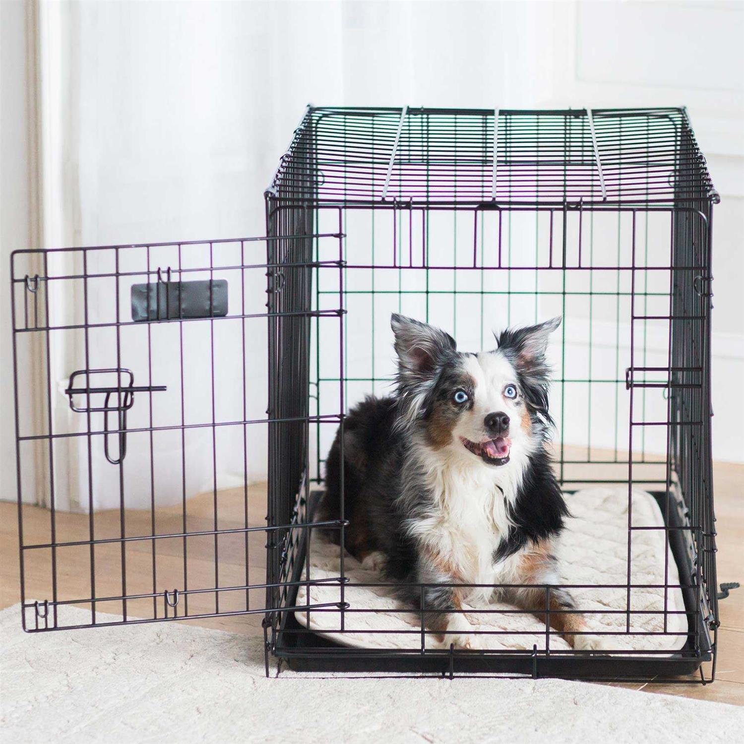 Pet SnooZZy Sleeper - Healthber