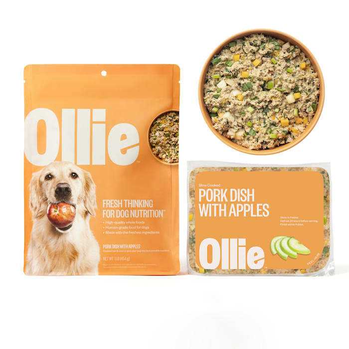 Ollie Fresh Pork Dish with Apples Frozen Dog Food - Healthber