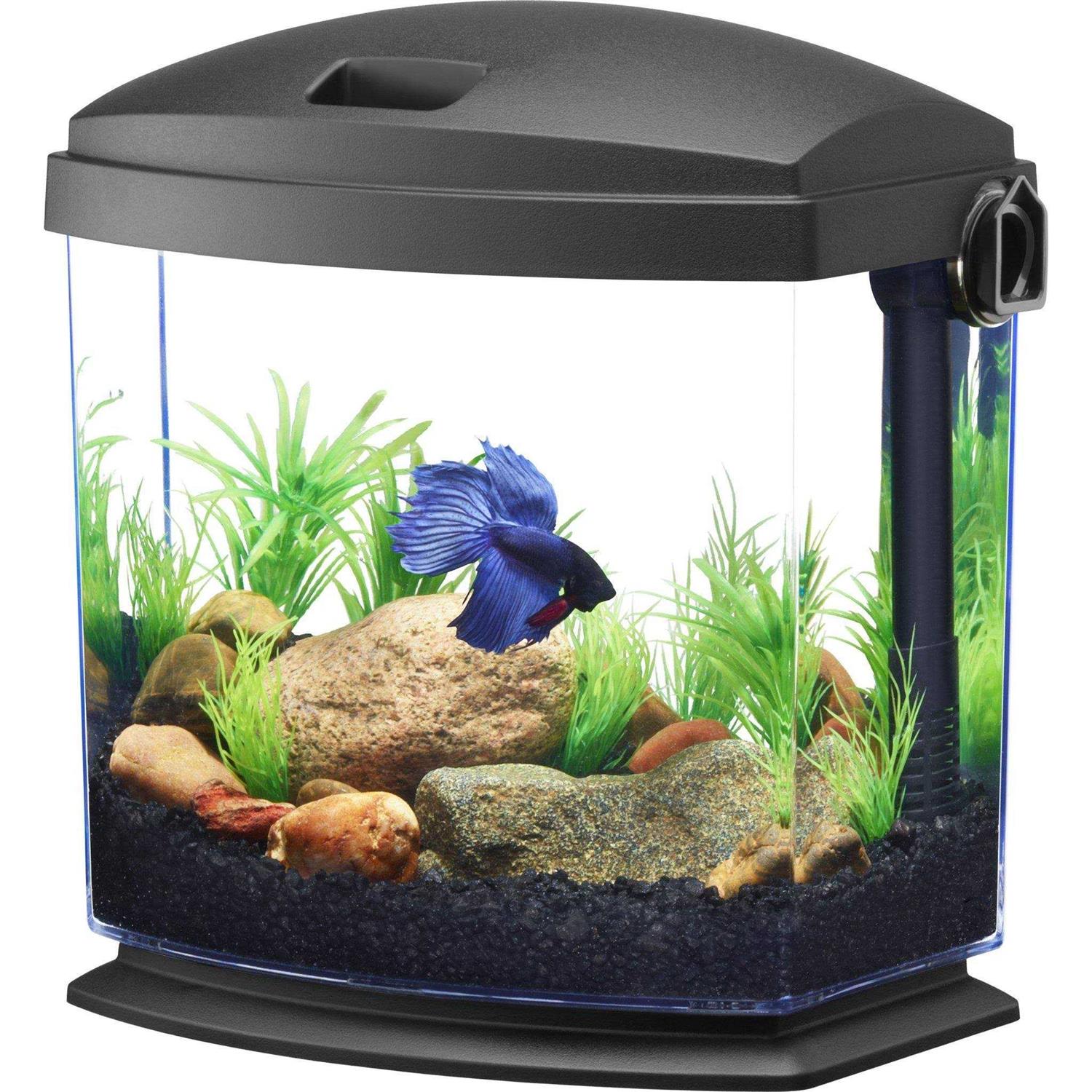 Aqueon BettaBow 1 with Quick Clean Technology Aquarium Kit Black - Healthber