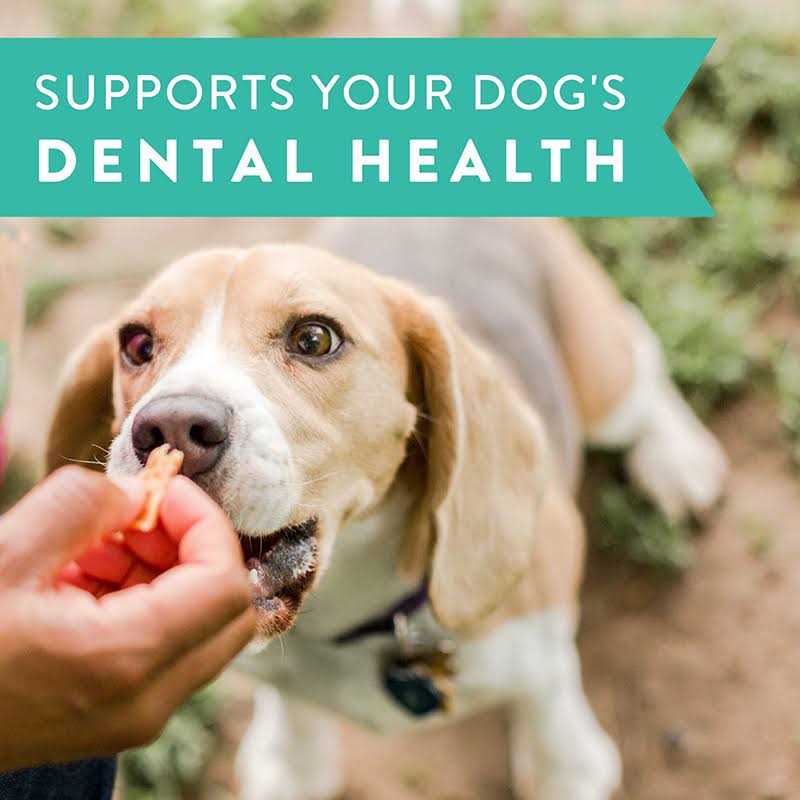 Dogswell Dental Jerky Chicken Dog Treats - Healthber