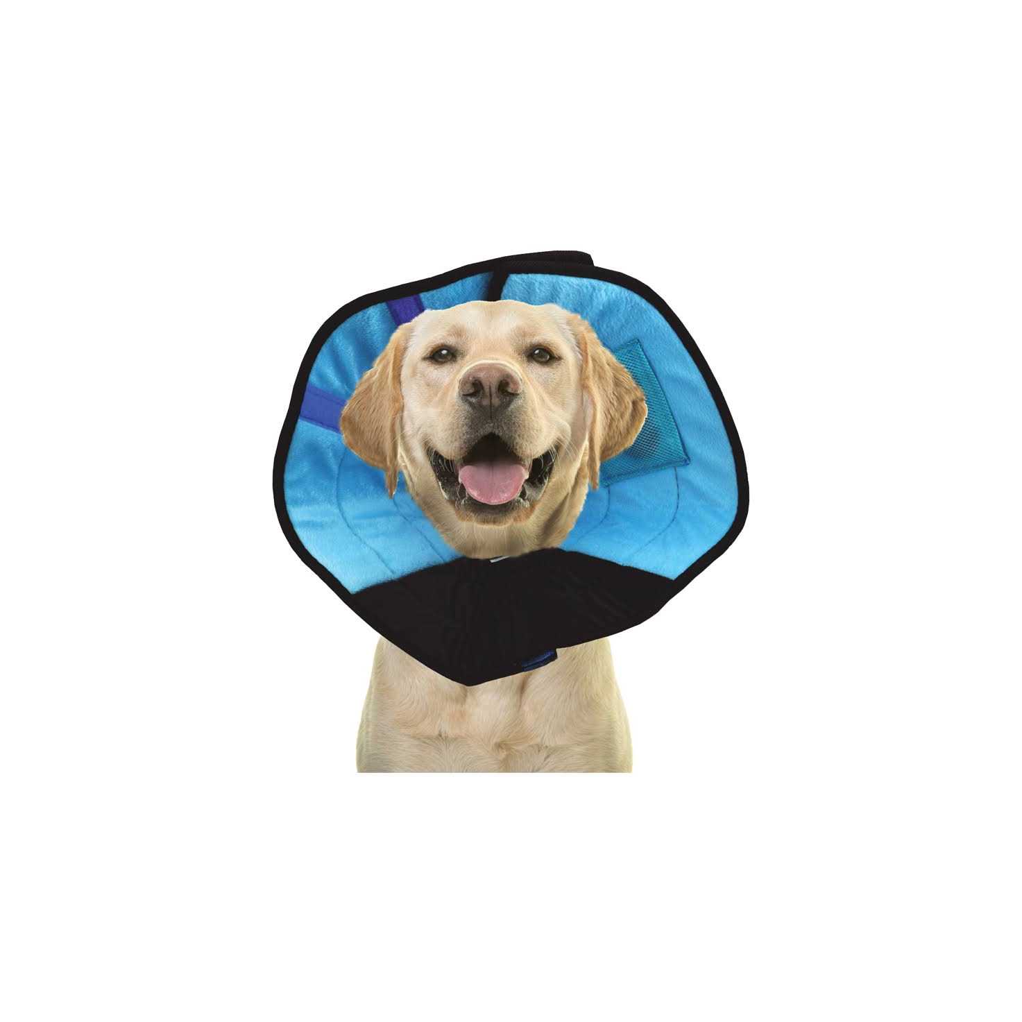 Calm Paws Cat Caring Collar w/ Calming Disk - Healthber