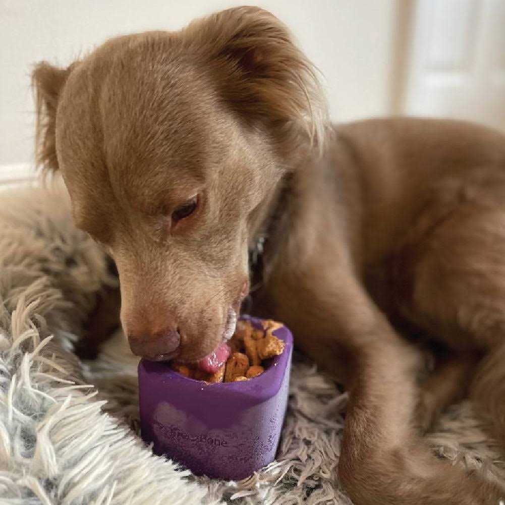 Freezbox UP TO 140LBS DOGS - Healthber