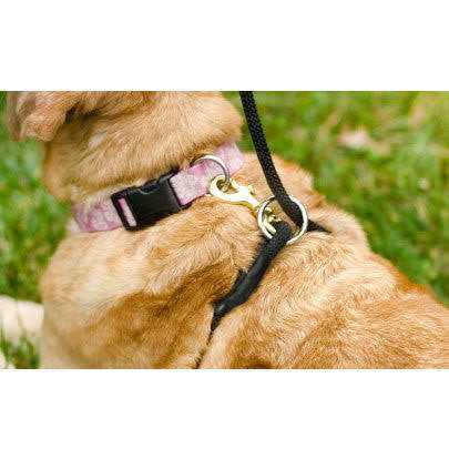 Weiss Walkie No Pull Dog Leash - Healthber