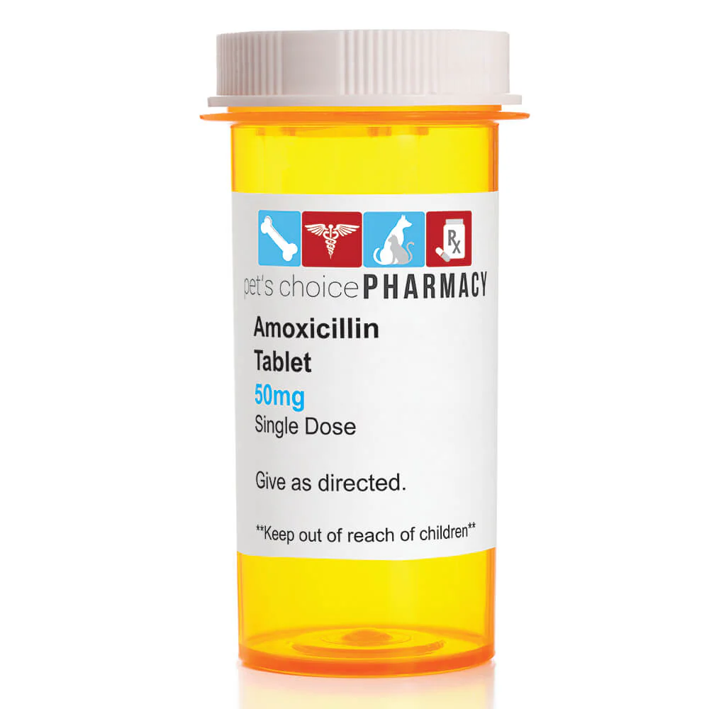 Rx Amoxicillin (Generic) Tablets for Dogs & Cats - Healthber