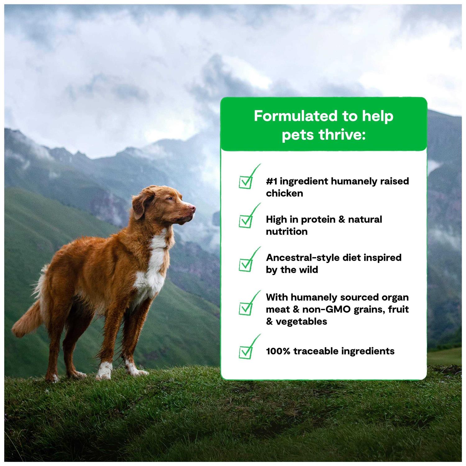 Open Farm Open Prairie Ancient Grains RawMix Dog Food - Healthber