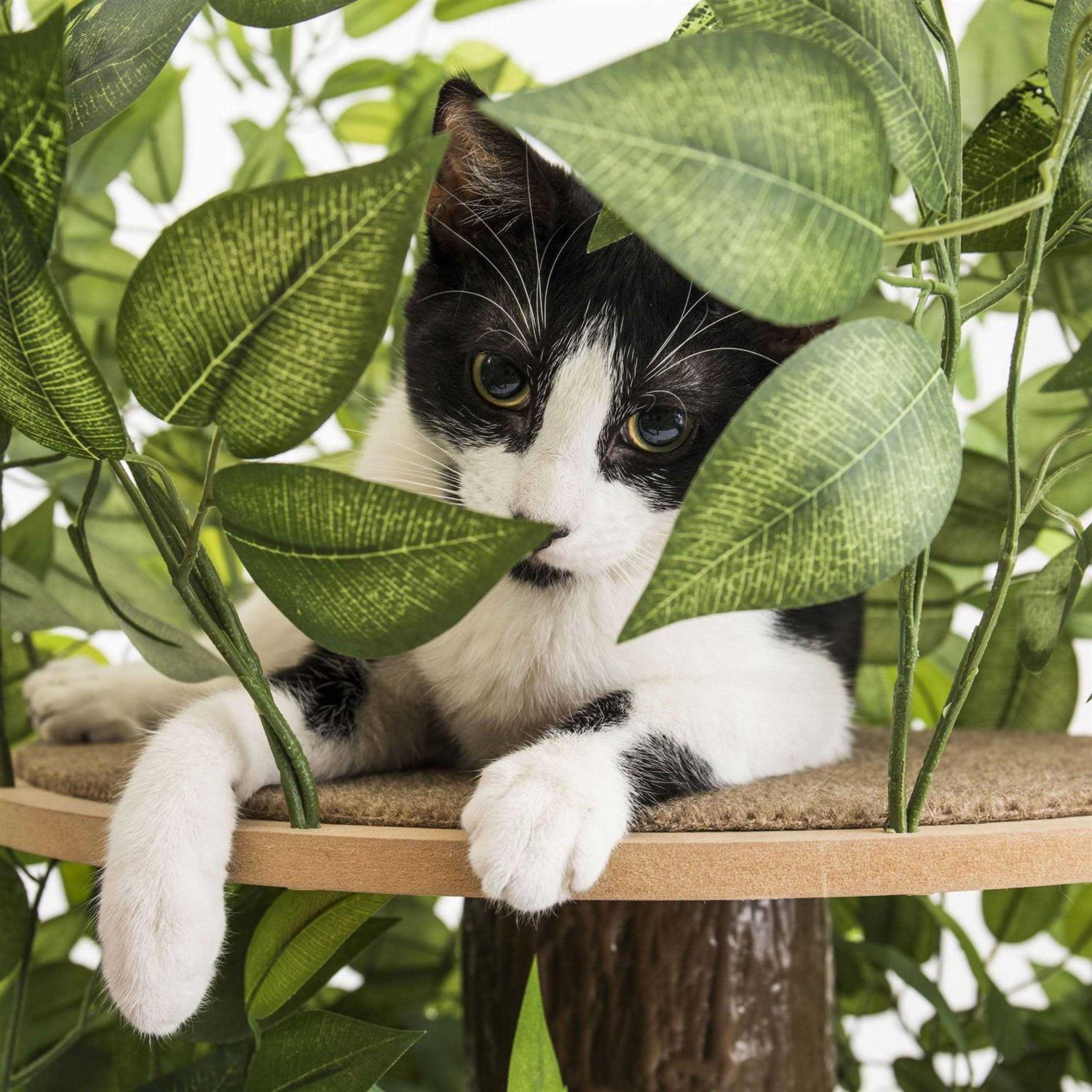 On2 Pets 4ft Interchangeable Leaves Cat Activity Tree Indoor Cat Tower - Healthber