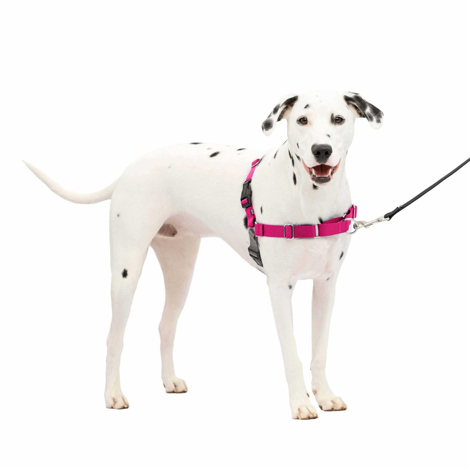 PetSafe Easy Walk Dog Harness - Healthber