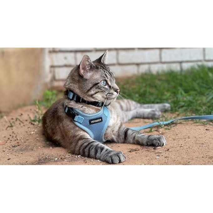 Voyager Step-in Lock Pet Harness All Weather Mesh, Adjustable Step in Harness for Cats and Dogs by Best Pet Supplies - Healthber