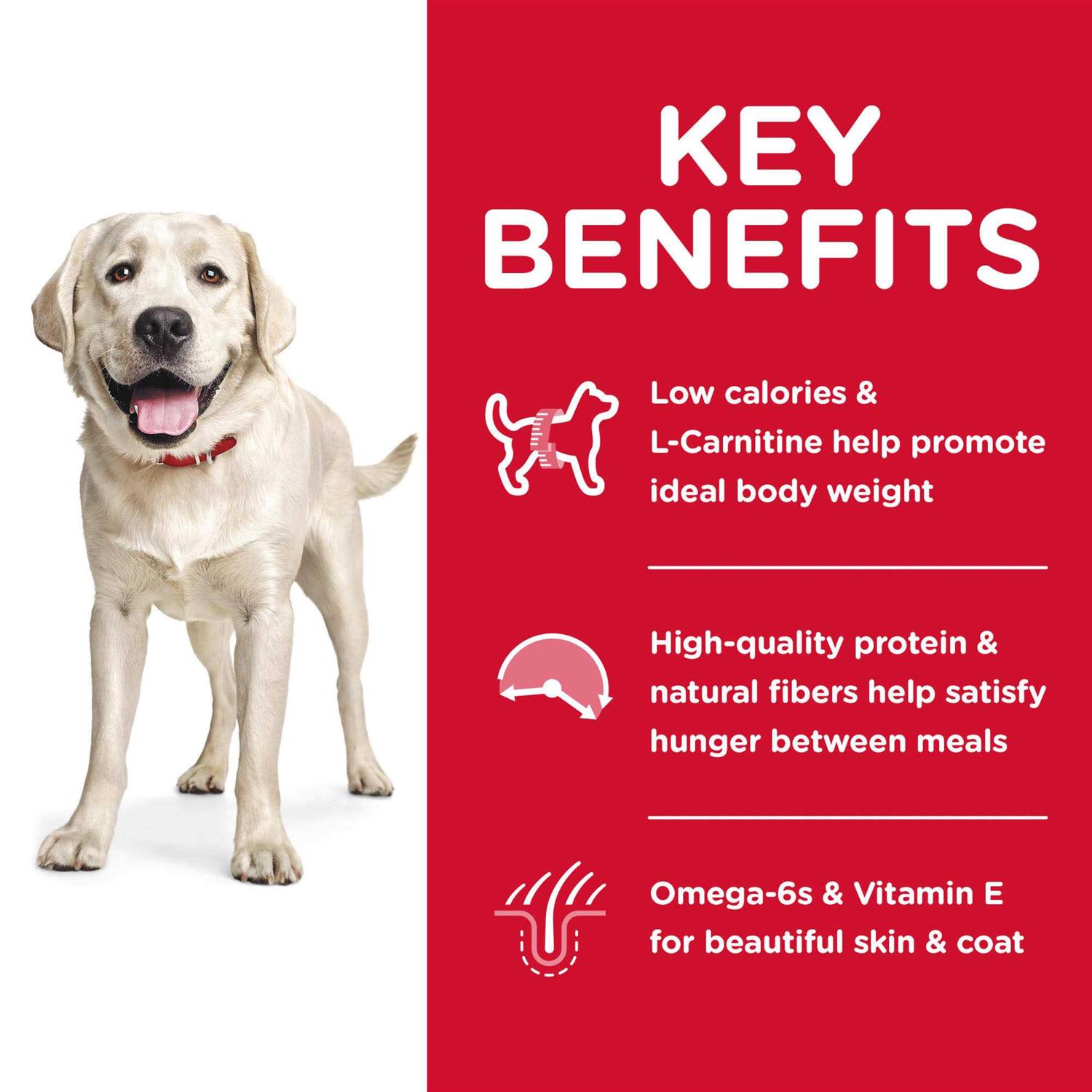 Hill’s Science Diet Adult Large Breed Light Chicken Meal & Barley Dry Dog Food - Healthber
