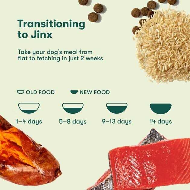 Jinx Salmon Brown Rice & Sweet Potato Dry Dog Food - Healthber