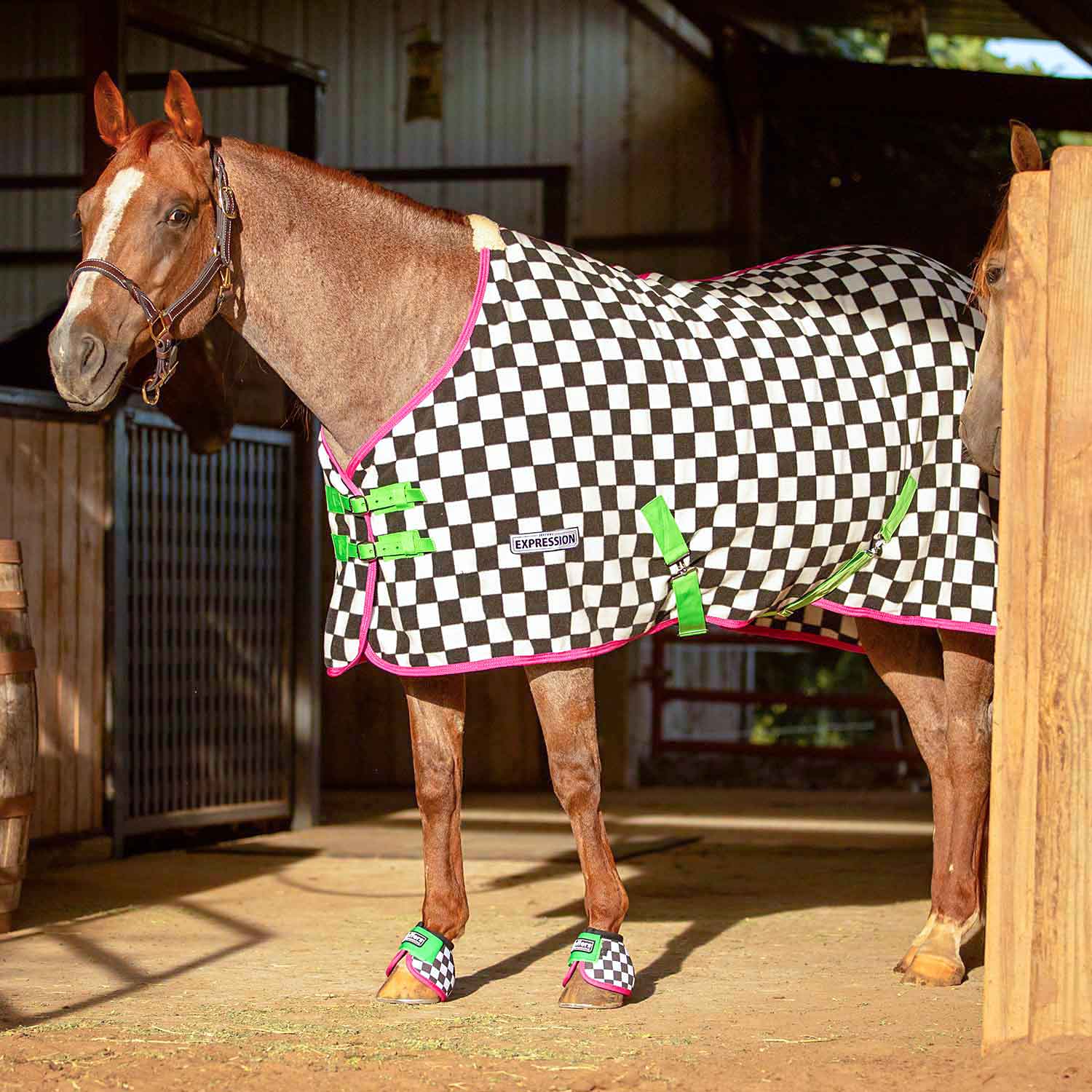 Expression Standard Neck Fleece Horse Cooler, Skater Cowgirl - Healthber
