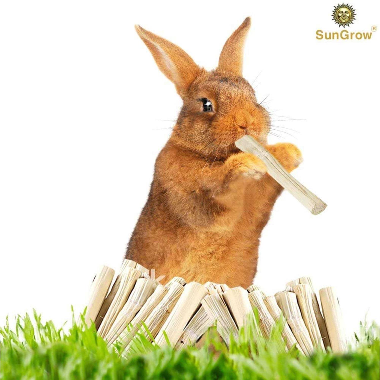 SunGrow Sweet Bamboo Chew Sticks Small-Pet Dental Treats & Snacks - Healthber
