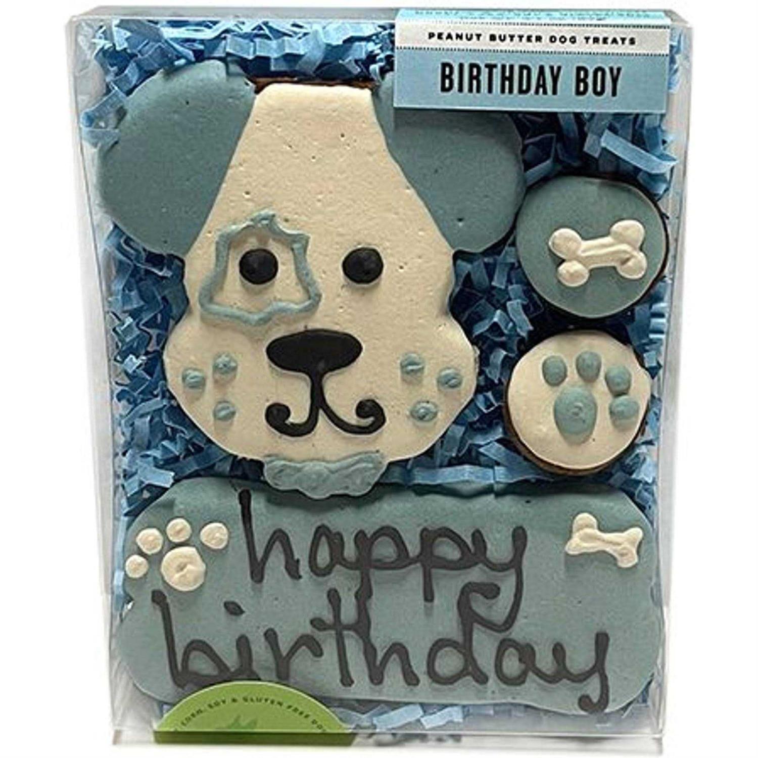 Bubba Rose Biscuit smbboy Birthday Boy - Healthber