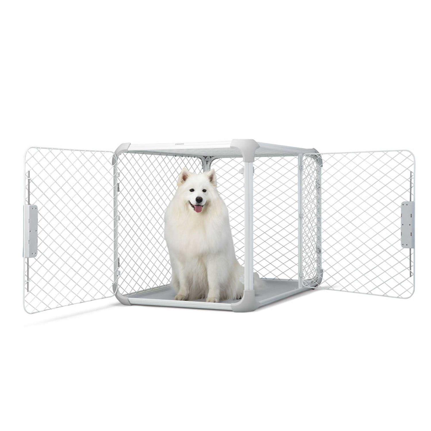 Diggs Evolv Dog Crate - Healthber
