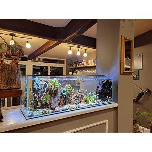 Lifegard Aquatics Long Ultra Crystal Clear Bookshelf Aquarium - Healthber