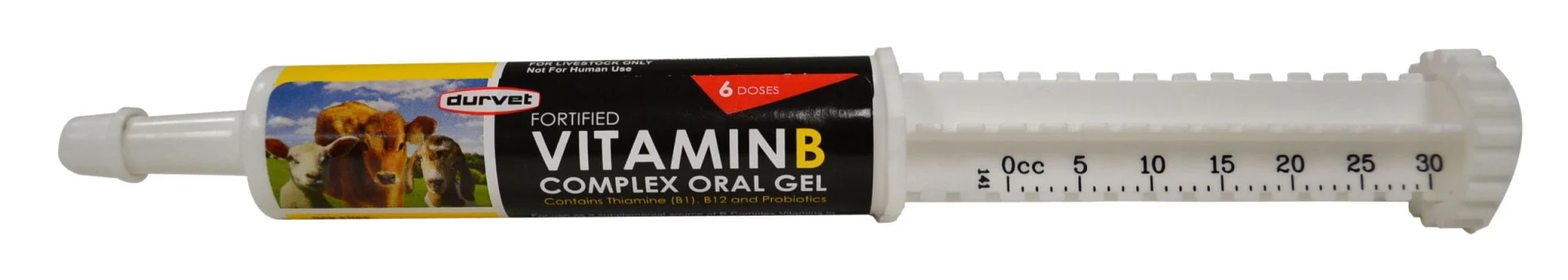 Fortified Vitamin B Complex, 30 ml - Healthber