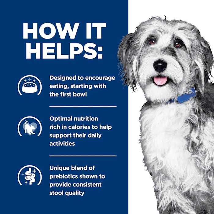 Hill’s Prescription Diet ONC Care Wet Dog Food - Healthber