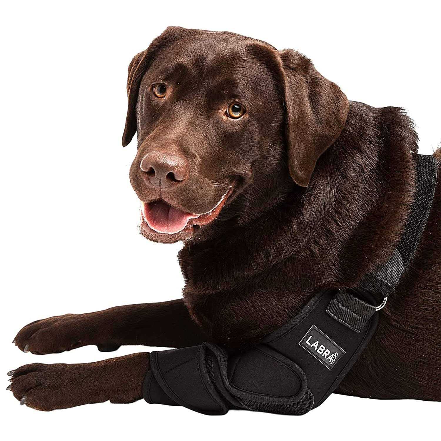 Labra Canine Shoulder Elbow Brace Leg Dog Wrap - Healthber
