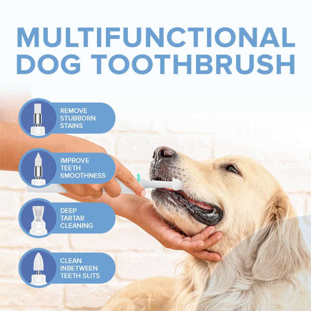 PupsDream Electric Toothbrush for Dogs with Specialized Brush Heads Colour - Healthber