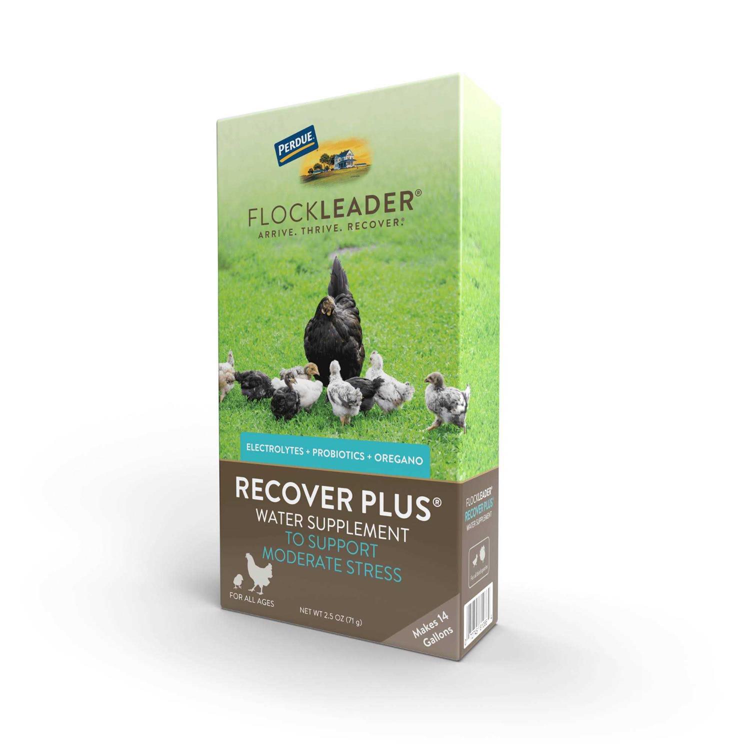 Flockleader Recover Plus Poultry Supplement - Healthber