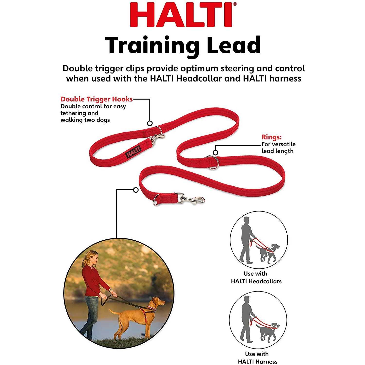 Halti Training Lead - Healthber