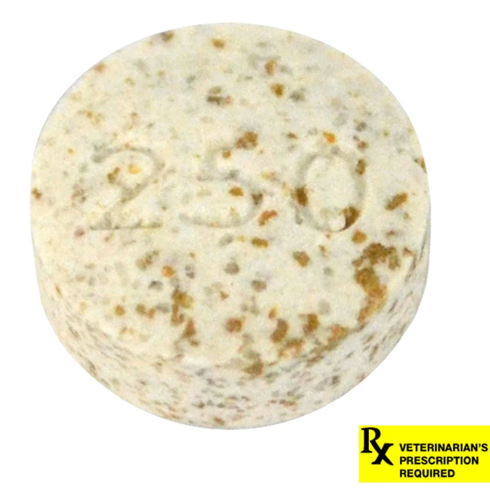 Rx K-BroVet (potassium bromide) Chewable Tablet for Dogs, Single Tab - Healthber