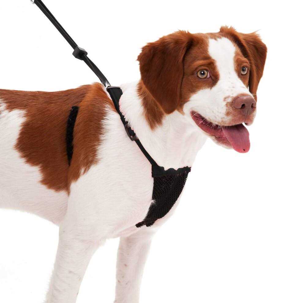 Sporn Mesh Non Pull Dog Harness - Healthber